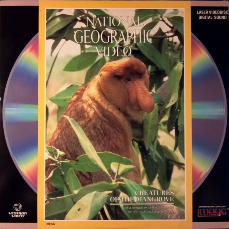 Pochette LASERDISC National Geographic: Creatures of the Mangrove (1987) - Édition physique d'occasion à vendre