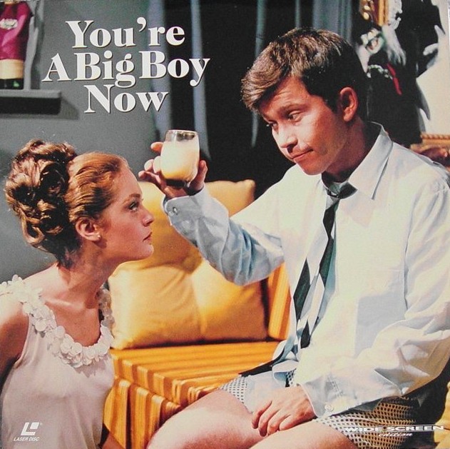 Pochette LASERDISC You're A Big BoyNow (1966) - Édition physique d'occasion à vendre