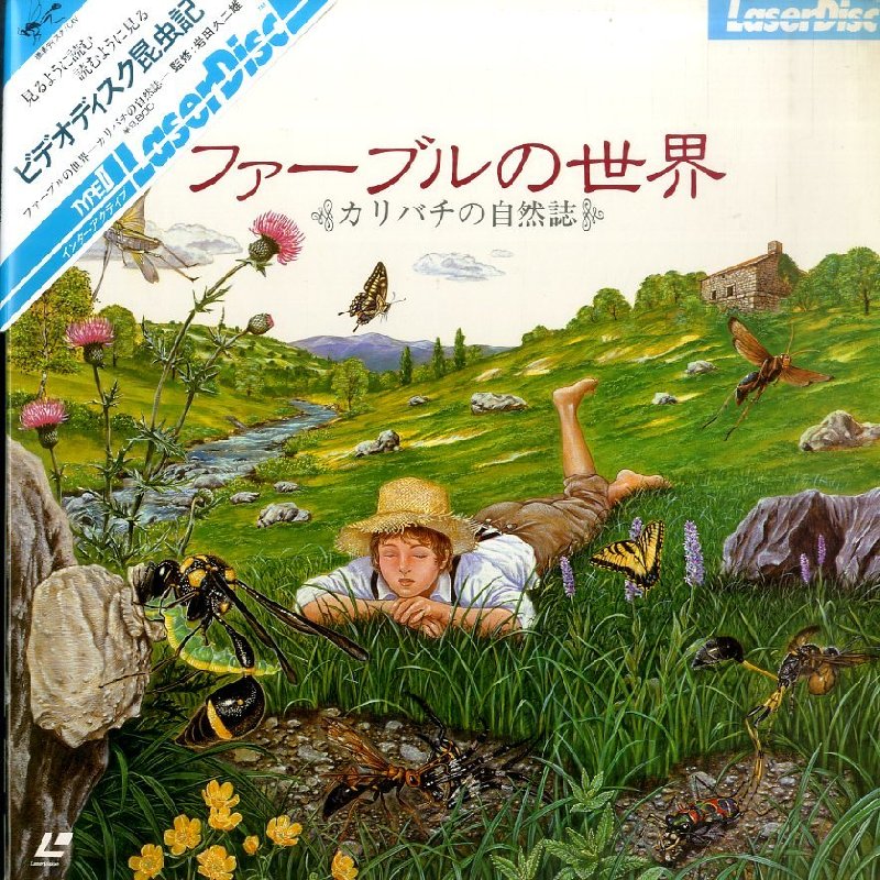 Pochette LASERDISC World of Fabre: Natural History of Bee (FABRE no Sekai - karibachi no shizenshi) (1969) - Édition physique d'occasion à vendre